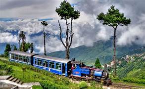 Darjeeling Family Tour